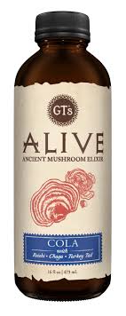 GT's Alive COLA Mushroom Tea Soda