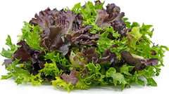 LOCAL Mixed Greens 1/2lb (Spring MIX)