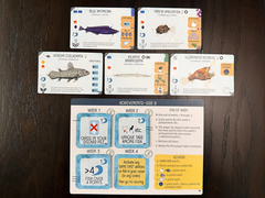 FINSPAN - SHARKS AND REEFS