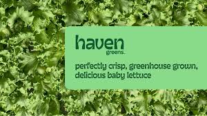 LOCAL Mixed Greens 1/2lb (Spring MIX)