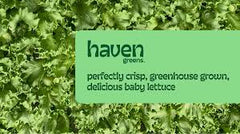 LOCAL Mixed Greens 1/2lb (Spring MIX)